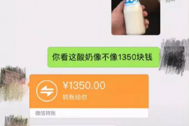 嵊泗专业讨债公司，追讨消失的老赖